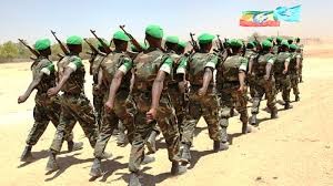 Ethiopia army (Mail & Guardian)