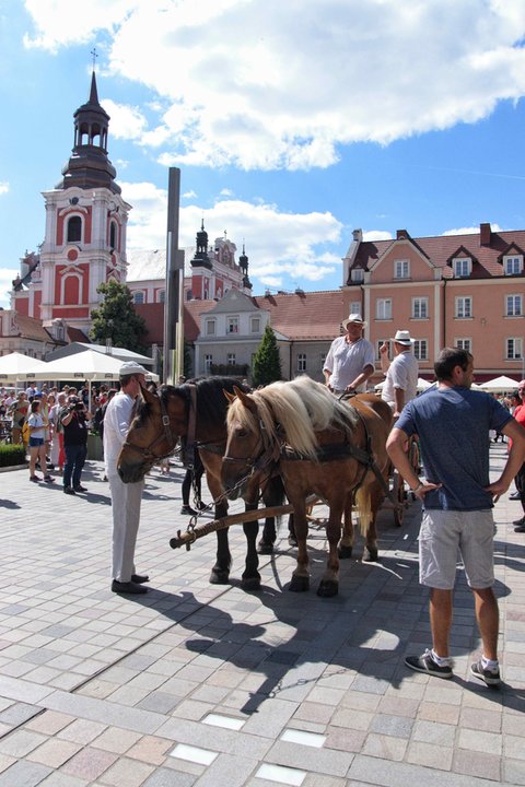 W Poznaniu odbyło się 27. Święto Bamberskie fot. Codzienny Poznań / S. Toroszewska