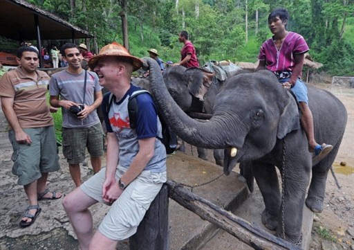 THAILAND - ELEPHANT - TOURISM