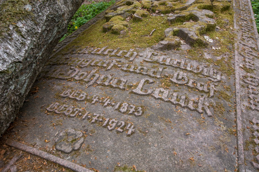 Zapomniany cmentarz Dohnów