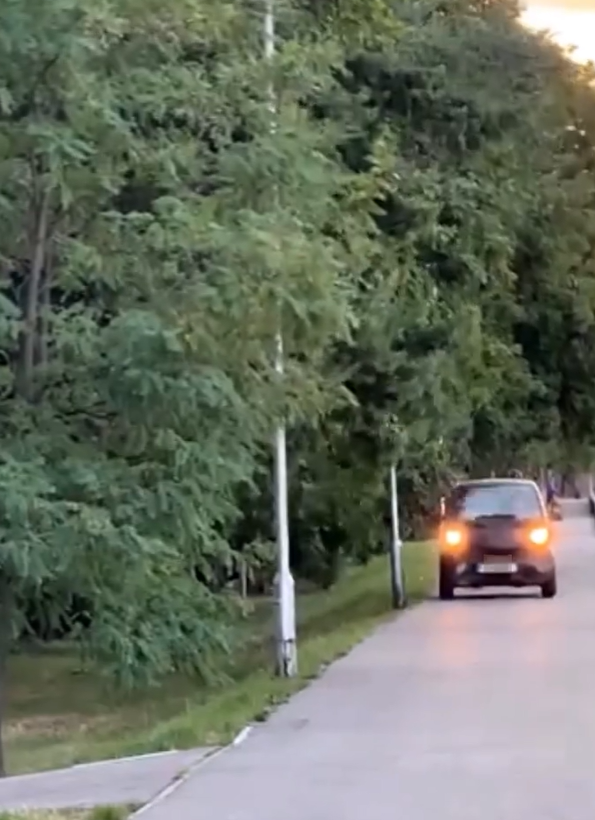 Vodička so Smartom jazdila po chodníku.