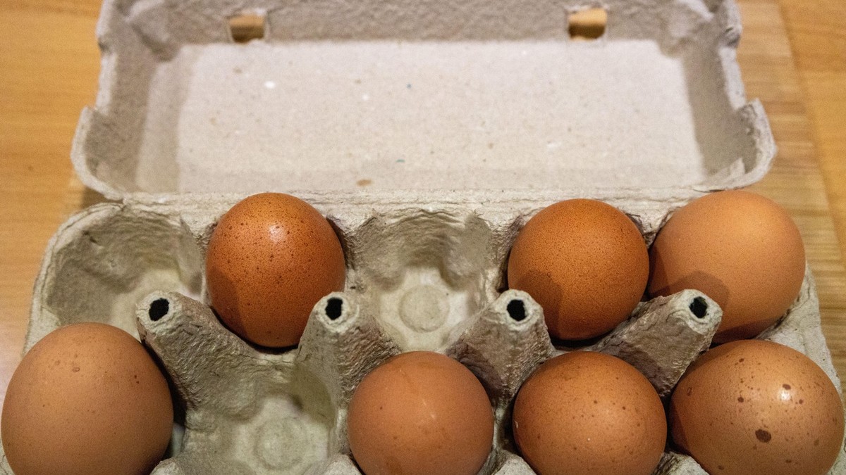 Kutija jaja