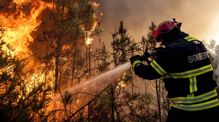 Több mint 200 tűzoltó próbálja megfékezni a lángokat Portugáliában / Fotó: MTI