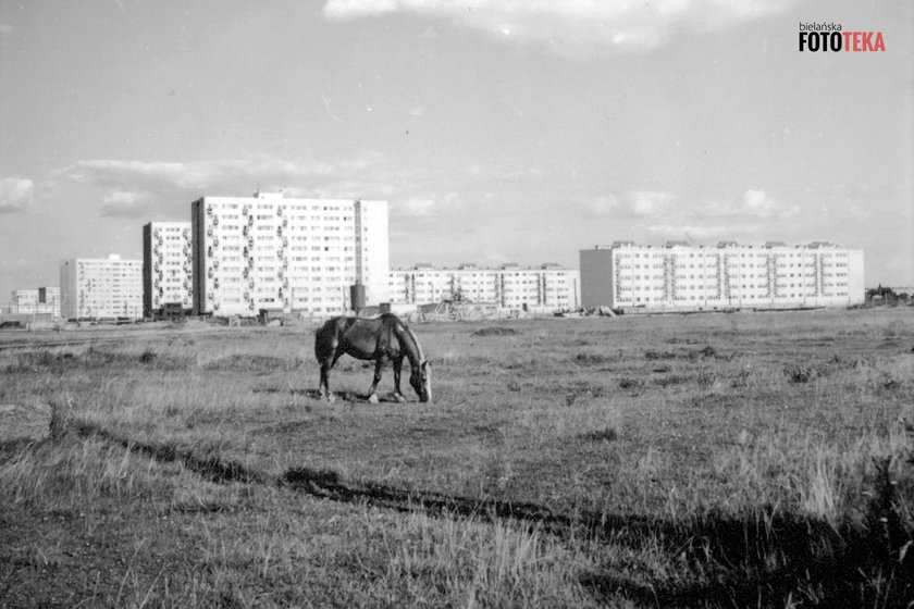 Bielańska fototeka