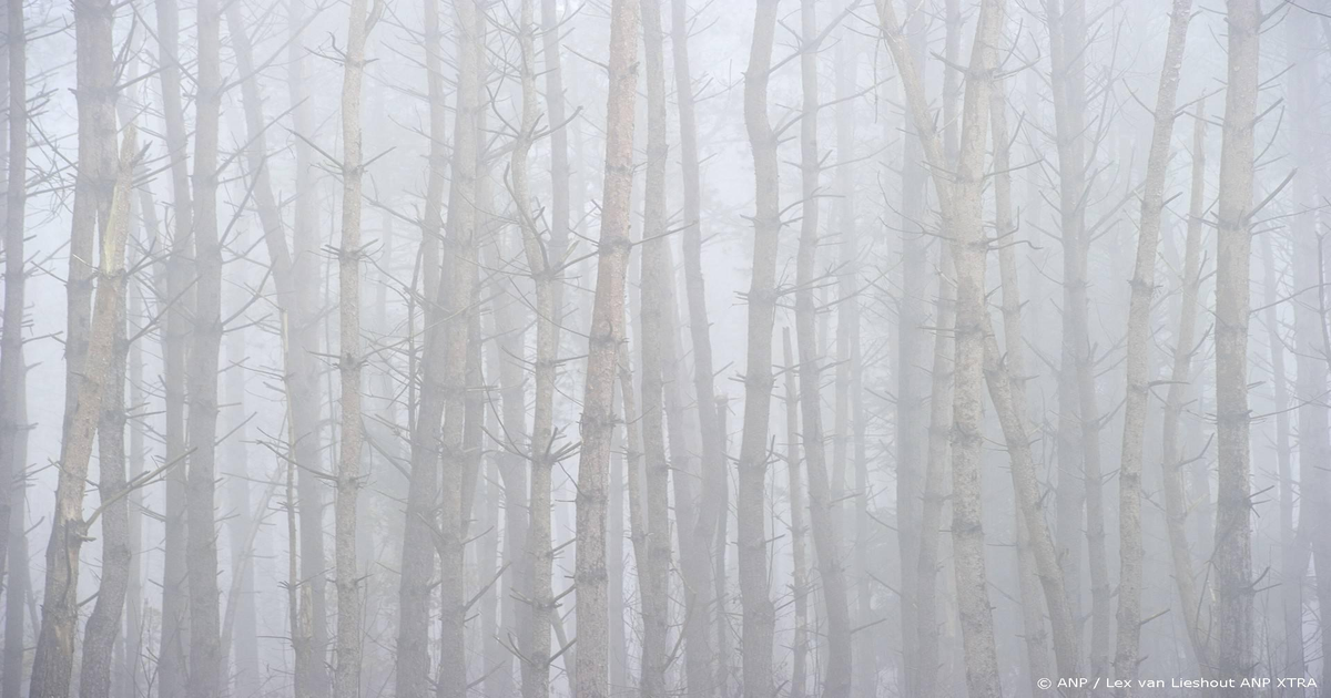 Zicht-onder-200-meter-code-geel-voor-dichte-mist-in-het-noordwesten