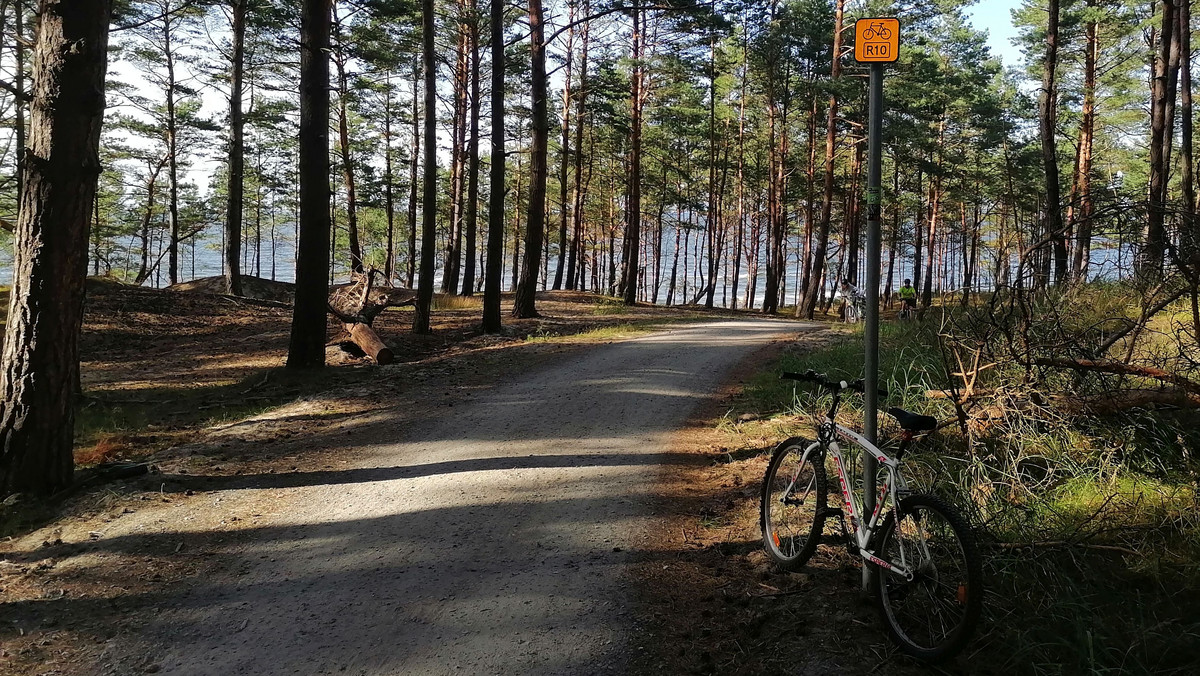 Krynica Morska ma najlepsze ścieżki rowerowe w Polsce?