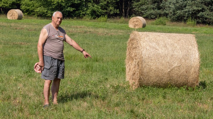 Kosiarze opamiętajcie się. W trawach, które ścinacie bytują młode zwierzęta