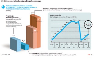 Frankowy problem na dłuższą metę. Rząd ma trzy warianty rozwiązania