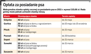 Komornik ściągnie zaległą opłatę za psa