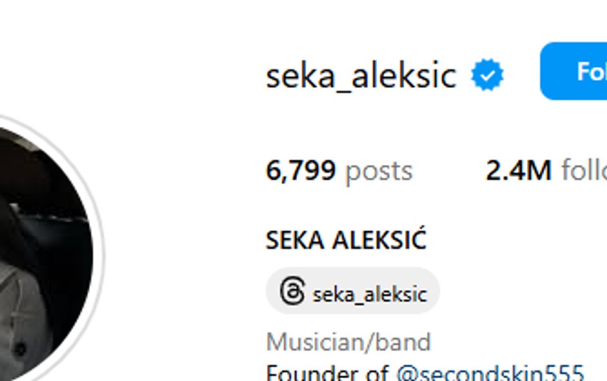 Seka Aleksić, pratioci