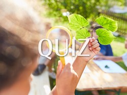 QUIZ Biologia - co pamiętasz z podstawówki?