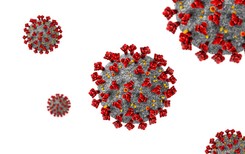 Już wiemy! Jak układ odpornościowy reaguje na koronawirusa w różnych częściach ciała