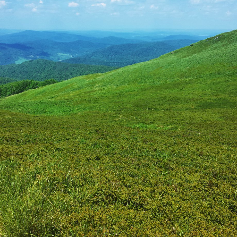 Bieszczady to jeden z najbardziej dzikich i tajemniczych zakątków Polski