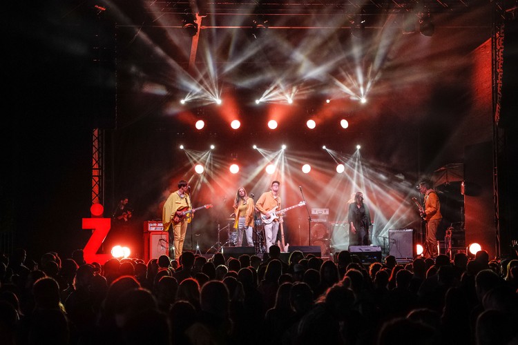 Koncert Męskie Granie 2018 w Żywcu fot. D. Kramski