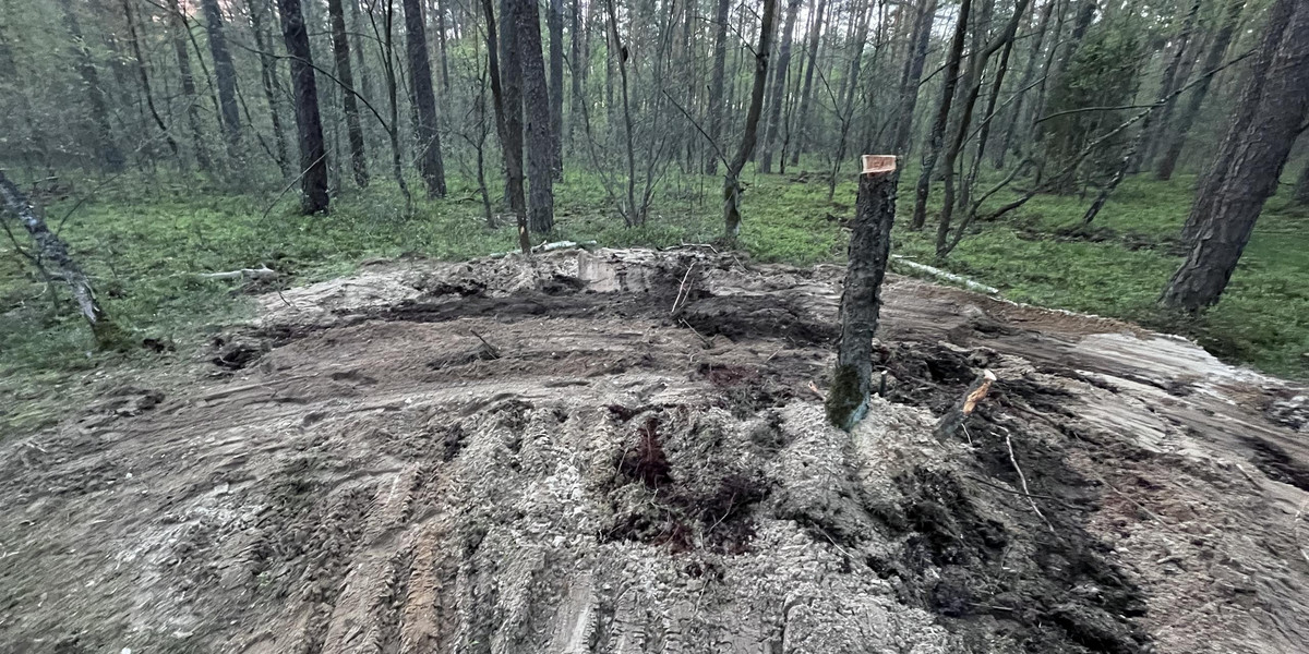 Nieoficjalna ekspertyza biegłych w sprawie znaleziska w lesie pod Bydgoszczą. 