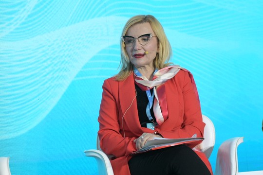 Prof. dr Verica Jovanović