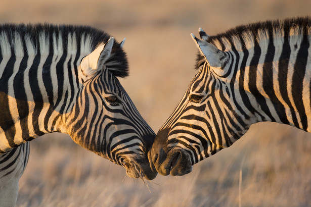 Namibia