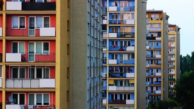 Sąsiad uprzykrza ci życie? Sprawdź, na jakie kroki pozwala ci prawo