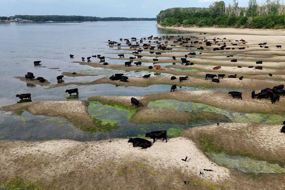 Dunav u Rumuniji | Foto: Inquam Photos/Ovidiu Micsik via REUTERS