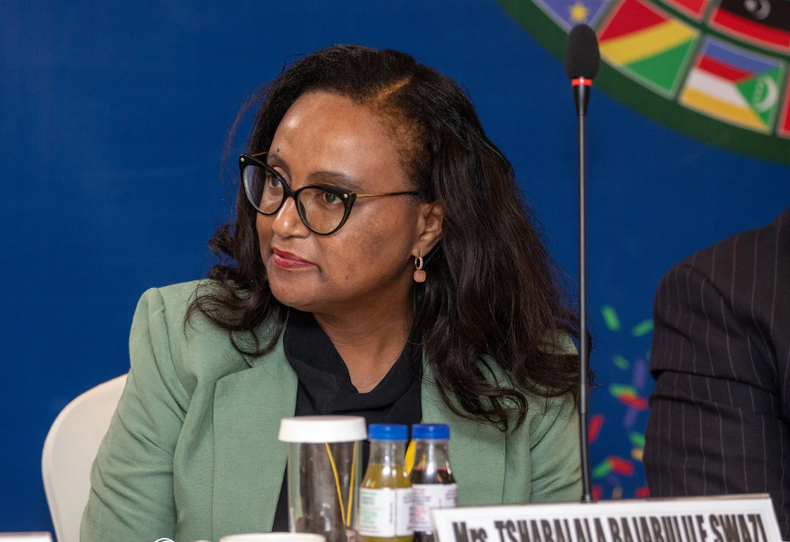 Swazi Tshabalala's candidacy has sparked controversy following South Africa's endorsement, bypassing the SADC's joint candidate
