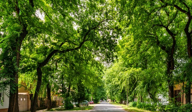 Ulica generala Drapšina u Kikindi