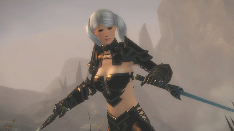 Guild Wars 2