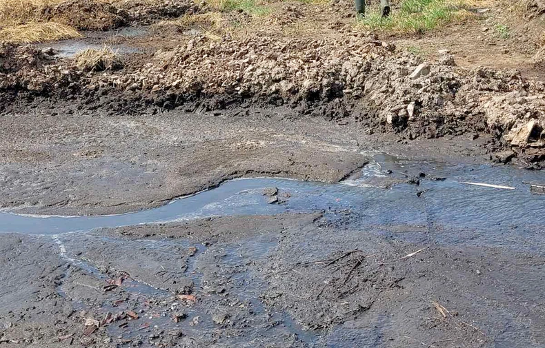 Fekalije u reci Zlatici