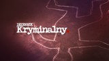 Papierosy, papugi a nawet mrówki. Co i jak przemyca się w Polsce?