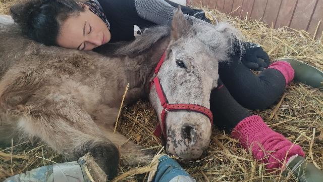 Fundacja "Ktoś" ledwo wiąże koniec z końcem