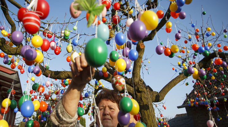 Nagyatádon 2500 húsvéti tojással feldíszítettek fel egy fát /Fotó: MTI-Varga György