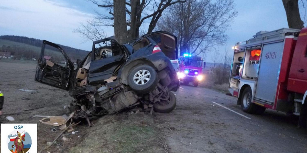 Wypadek w Pisarzowicach. Mercedes owinął się wokół drzewa. Kierowca zginął