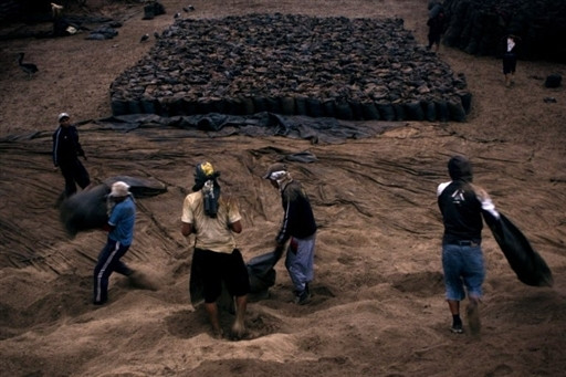 PERU GUANO FEATURE