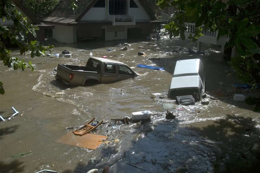 Stwory jakie zobaczyliśmy po tsunami