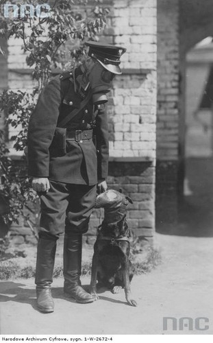 PRZEDWOJENNI POLSCY POLICJANCI