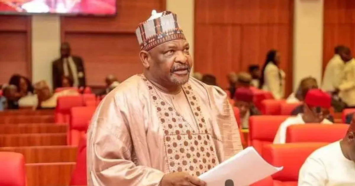 How curiosity landed Senator Ningi in trouble after paying consultants ₦30m - Vimarsana News