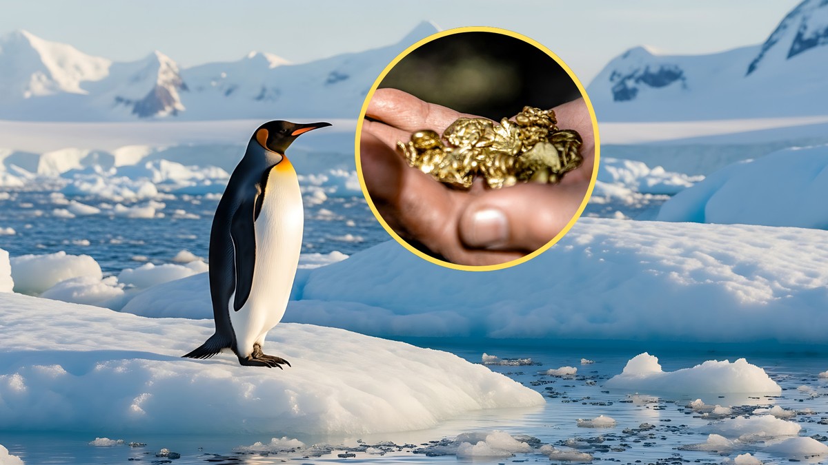 Złoża złota na Antarktydzie mogą kusić. Oto dlatego żaden kraj gwałtownie ich nie pozyska