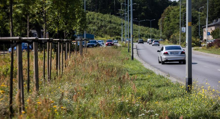 Wyższa trawa i roślinny naturalnie występujące na łąkach mają pozytywny wpływ zarówno na poziom wilgotności, jak i temperaturę.