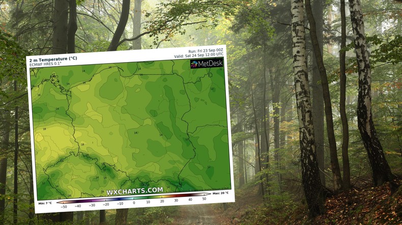 W weekend będzie odrobinę cieplej, ale deszczu nie unikniemy (mapa: wxcharts.com)