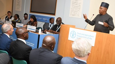 Vp Shettima at the UN food summit (Credit: NAN)