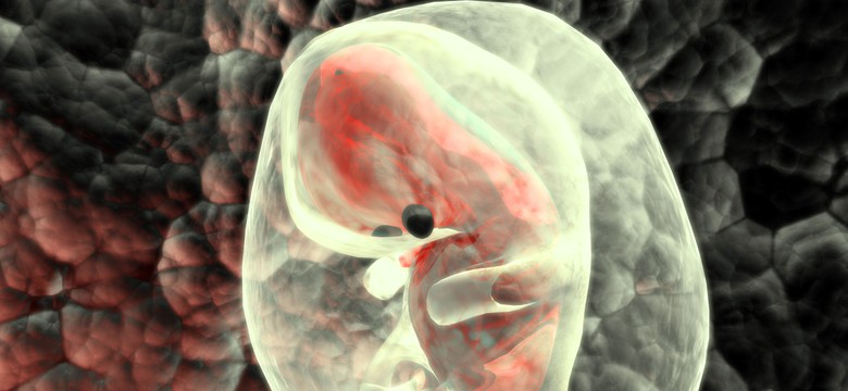 Tajne eksperymenty. Krzyżowano ludzi ze zwierzętami