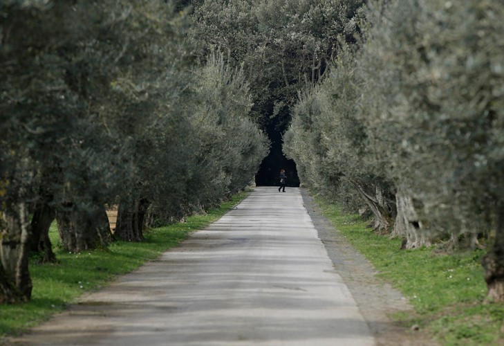Watykan otwiera dla turystów ogrody papieskiej rezydencji Castel Gandolfo
