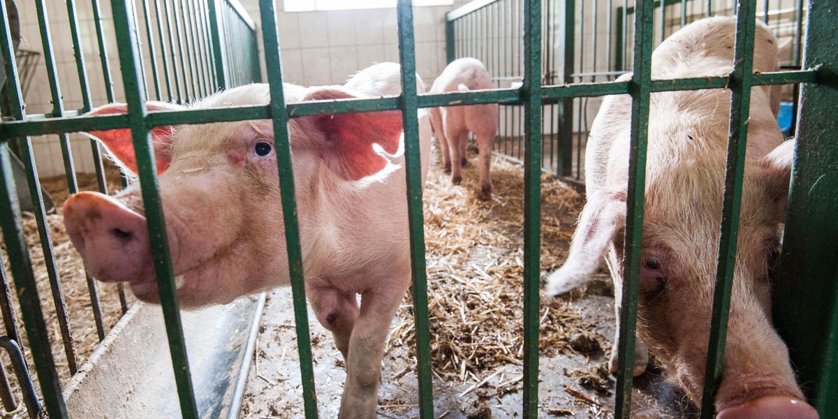 Instytut zoologii UJ w Krakowie