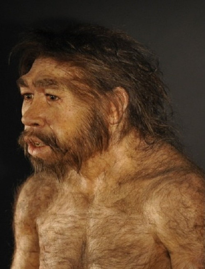 Homo erectus, ili Pekinški čovek koji je živeo pre 700.000 do 200.000 godina