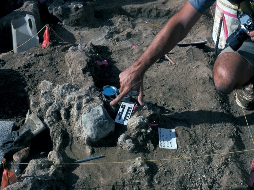 Da li je mikroskopska oštećenja na kostima i kamenju izazvao čovek pre 130.000 godina?