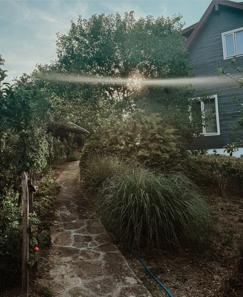 Deca Bojane i Nikole Rokvića