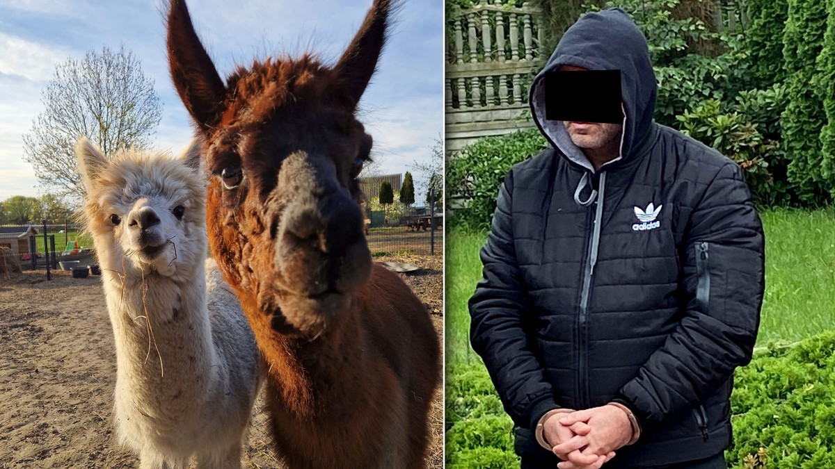 Brutalna śmierć zwierząt w mini zoo. Prawicowy dziennikarz wyszedł na wolność