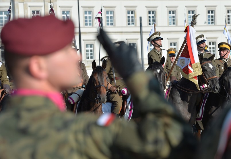 "Zaletą konia jest to, że jest szybki i stanowi pewien element zaskoczenia. Żołnierz na froncie spodziewał się zwykle, że przeciwnikiem będzie piechota lub czołgi. Gdy więc pojawiało się zwierzę, które szybko znajdowało się nad nim, albo galopowało gdzieś dalej, nie dając czasu na reakcję, żołnierz ten był zaskakiwany" - mówi kapitan Tadeusz Kühn.