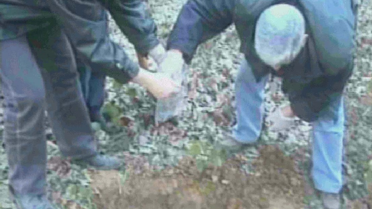 170037_stambolic-fruska-gora01