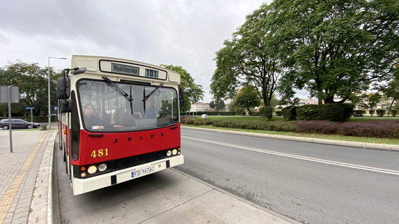 Autobus Jelcz M-11 i tramwaj typu 6ZGTW "Helmut" wożą pasażerów w Gorzowie