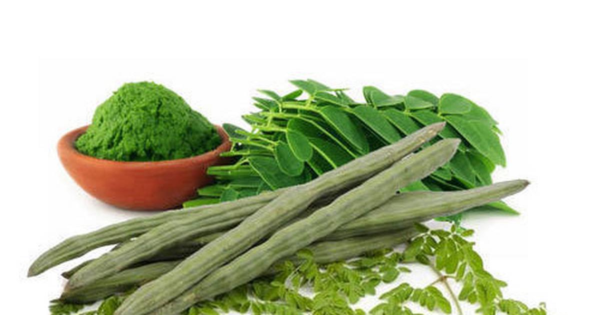 Surprising Benefits Of Drinking Drumstick Leaves Juice Every Day